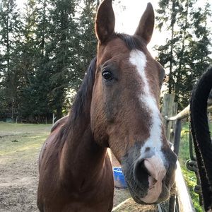 Meet your Posher, Caitlin